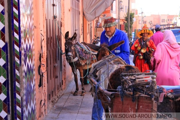 Sometimes there are colorful water-carriers in the red. Who just can not be found on the streets!